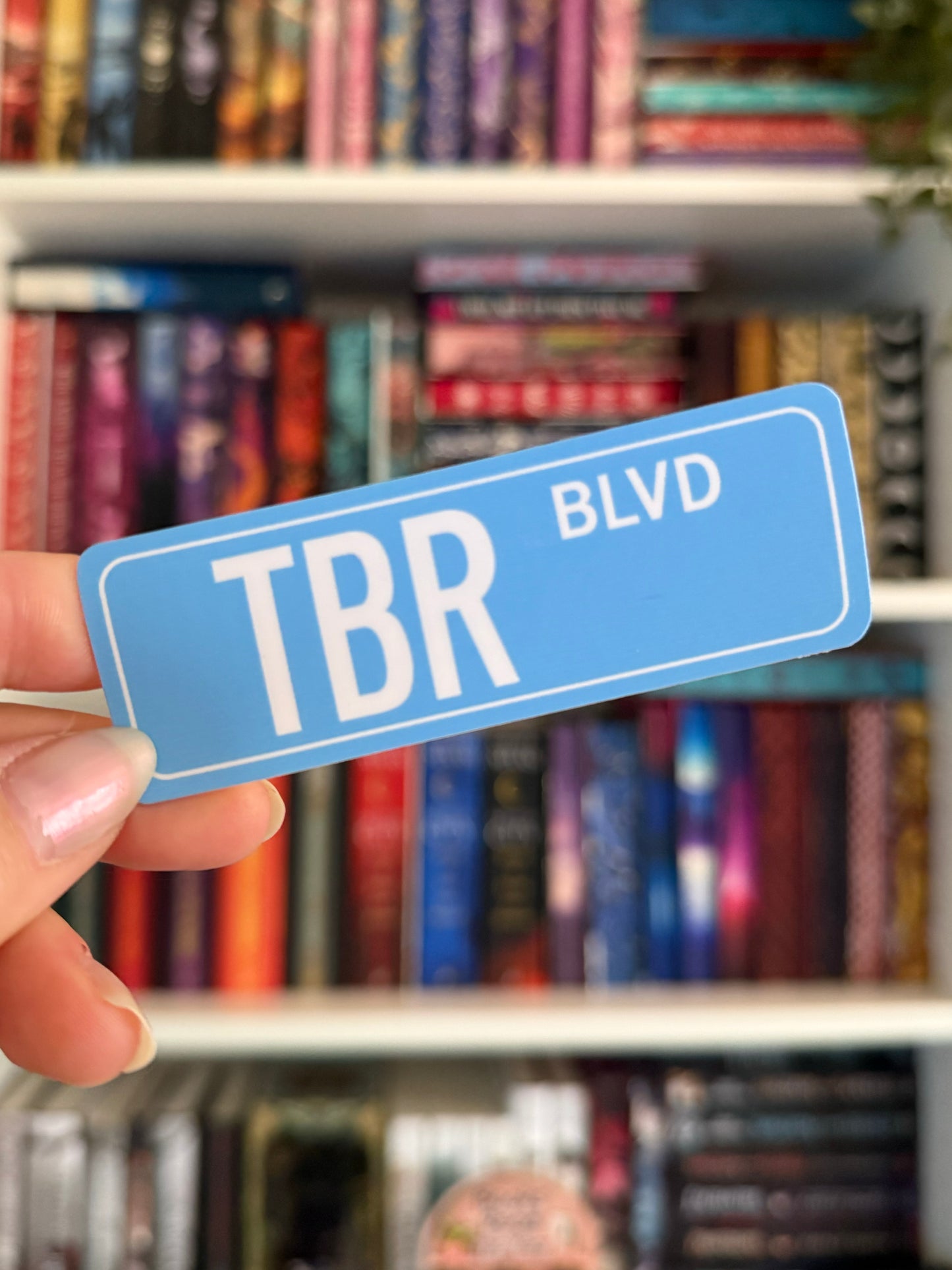 Street Sign Vinyl Sticker - TBR Blvd